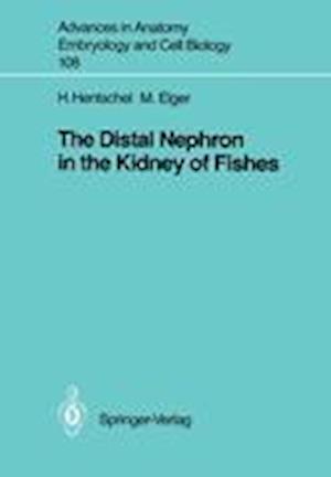 The Distal Nephron in the Kidney of Fishes