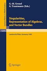 Singularities, Representation of Algebras, and Vector Bundles