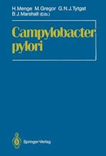 Campylobacter Pylori