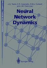 Neural Network Dynamics