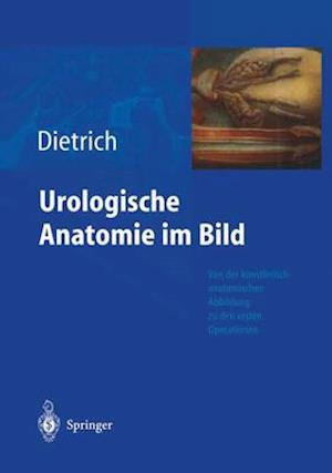 Urologische Anatomie Im Bild