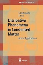 Dissipative Phenomena in Condensed Matter