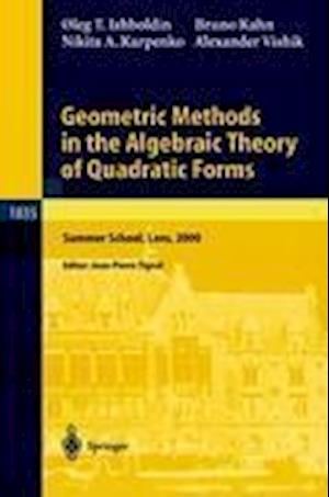 Geometric Methods in the Algebraic Theory of Quadratic Forms