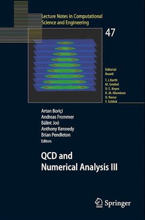 QCD and Numerical Analysis III