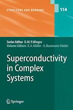 Superconductivity in Complex Systems