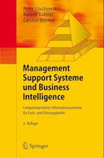 Management Support Systeme und Business Intelligence