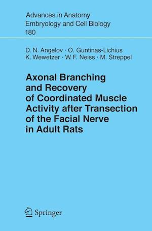 Axonal Branching and Recovery of Coordinated Muscle Activity after Transsection of the Facial Nerve in Adult Rats