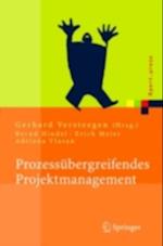 Prozessübergreifendes Projektmanagement