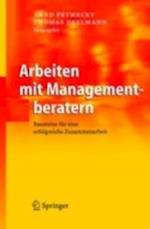 Arbeiten mit Managementberatern