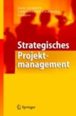 Strategisches Projektmanagement