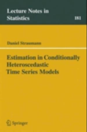 Estimation in Conditionally Heteroscedastic Time Series Models