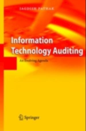 Information Technology Auditing