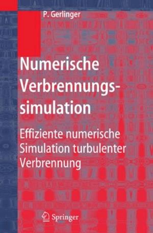 Numerische Verbrennungssimulation