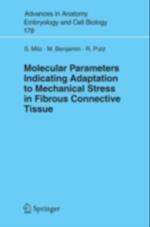 Molecular Parameters Indicating Adaptation to Mechanical Stress in Fibrous Connective Tissue