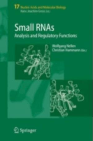 Small RNAs: