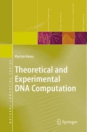 Theoretical and Experimental DNA Computation