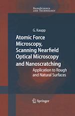 Atomic Force Microscopy, Scanning Nearfield Optical Microscopy and Nanoscratching