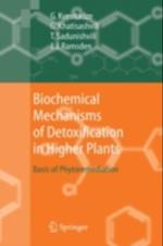 Biochemical Mechanisms of Detoxification in Higher Plants