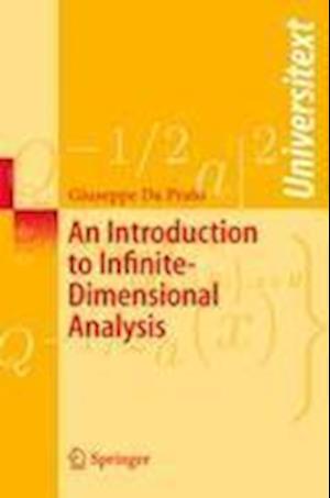 An Introduction to Infinite-Dimensional Analysis