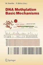 DNA Methylation: Basic Mechanisms