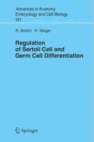 Regulation of Sertoli Cell and Germ Cell Differentiation