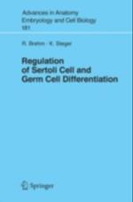 Regulation of Sertoli Cell and Germ Cell Differentiation