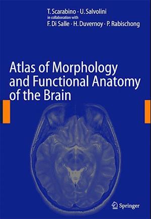 Atlas of Morphology and Functional Anatomy of the Brain