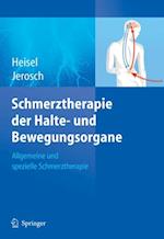 Schmerztherapie der Halte- und Bewegungsorgane