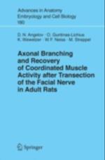 Axonal Branching and Recovery of Coordinated Muscle Activity after Transsection of the Facial Nerve in Adult Rats