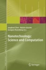 Nanotechnology: Science and Computation