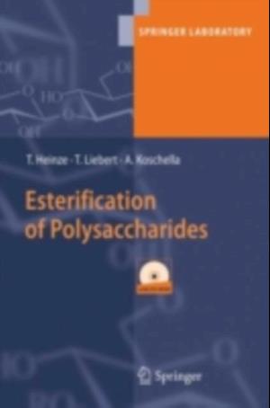 Esterification of Polysaccharides