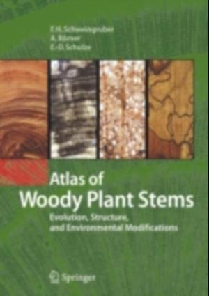 Atlas of Woody Plant Stems