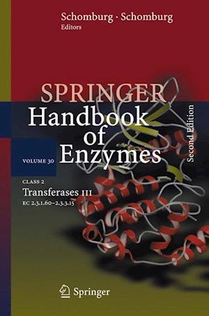 Class 2 Transferases III