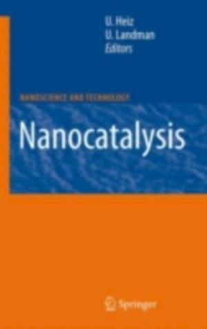 Nanocatalysis