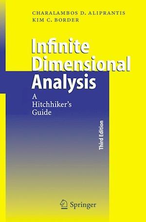 Infinite Dimensional Analysis