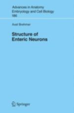 Structure of Enteric Neurons