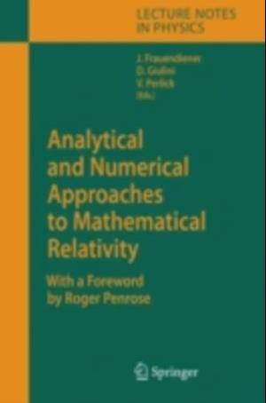 Analytical and Numerical Approaches to Mathematical Relativity