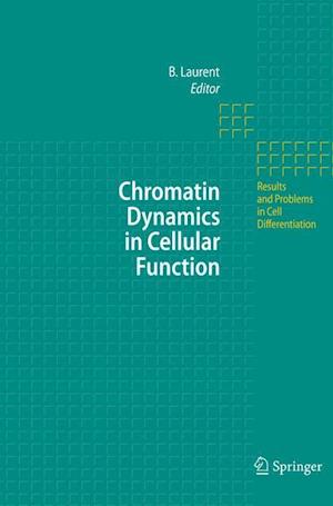 Chromatin Dynamics in Cellular Function