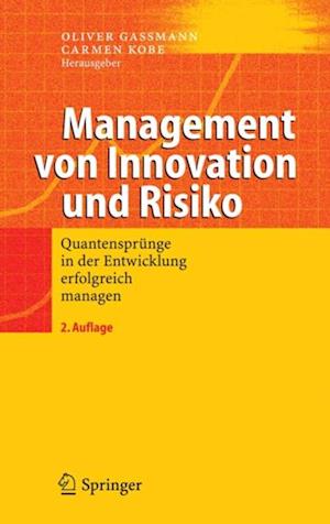 Management von Innovation und Risiko