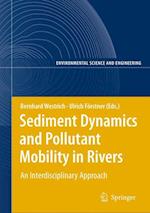 Sediment Dynamics and Pollutant Mobility in Rivers