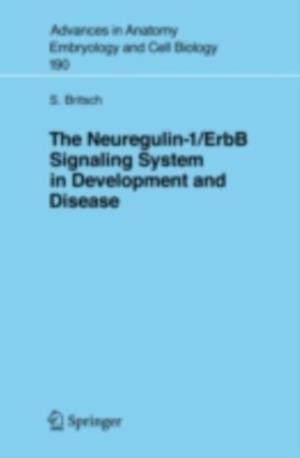 Neuregulin-I/ErbB Signaling System in Development and Disease