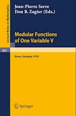 Modular Functions of One Variable V