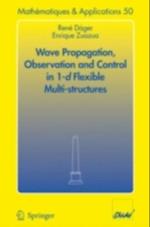 Wave Propagation, Observation and Control in 1-d Flexible Multi-Structures