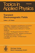 Transient Electromagnetic Fields