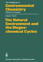 Natural Environment and the Biogeochemical Cycles