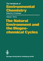 Natural Environment and the Biogeochemical Cycles