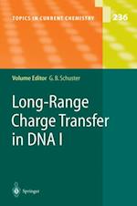 Long-Range Charge Transfer in DNA I