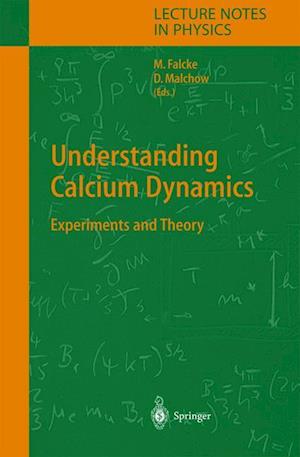 Understanding Calcium Dynamics