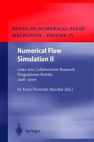 Numerical Flow Simulation II