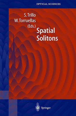 Spatial Solitons